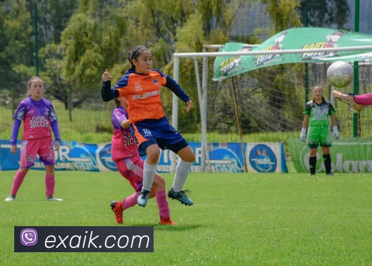 App Interface Preview