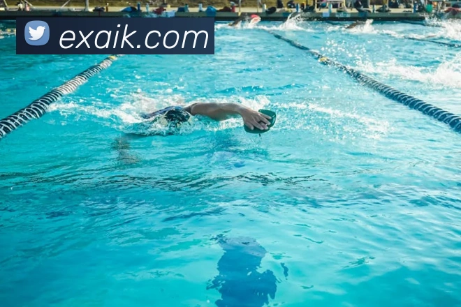 开云手机网页入口APP 封面图